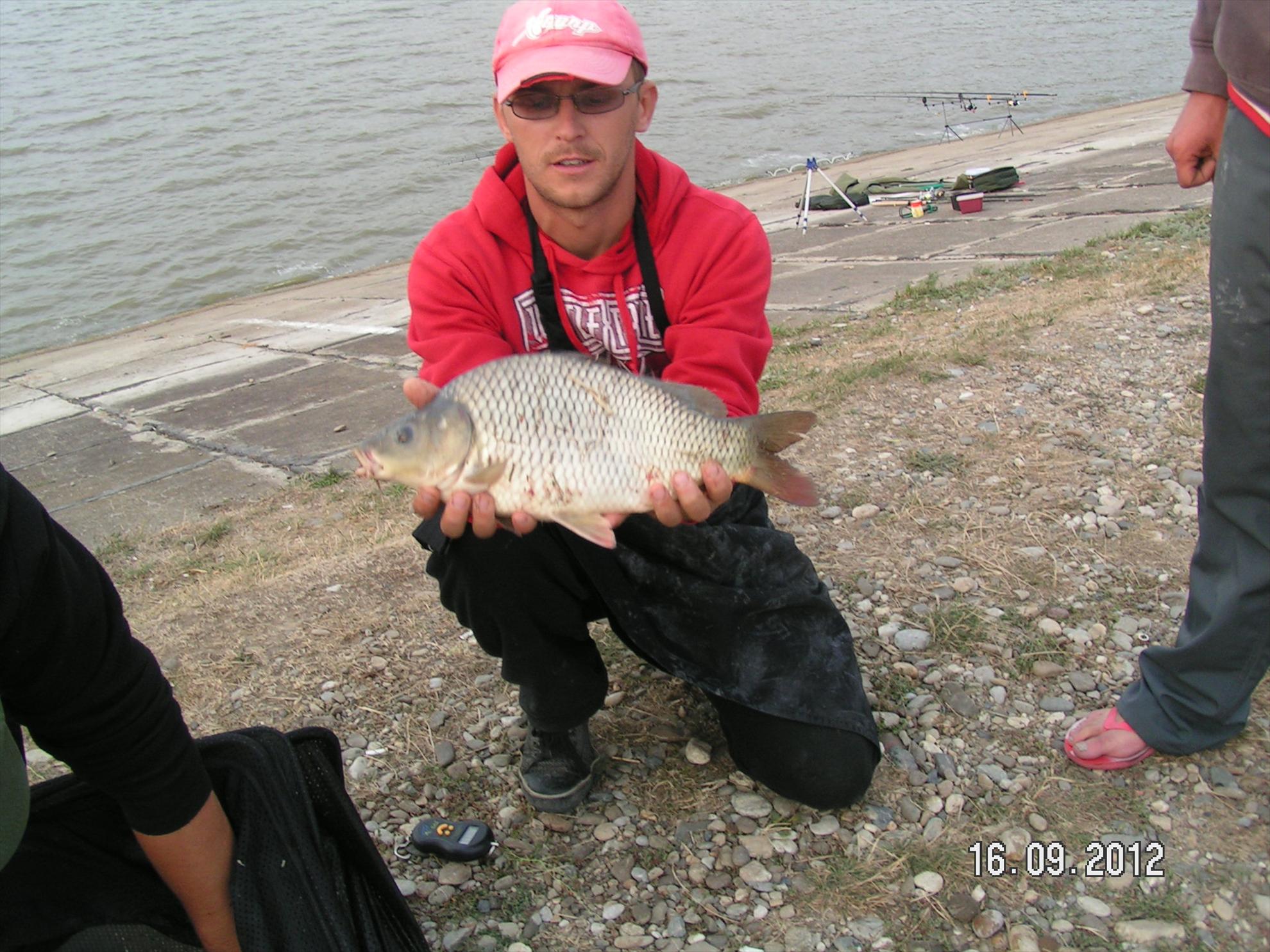 Horgesti 16.09.2012 - pict1009.JPG